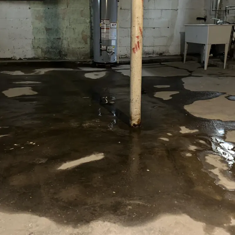 Emergency Water Extraction And Removal in Springfield, VA